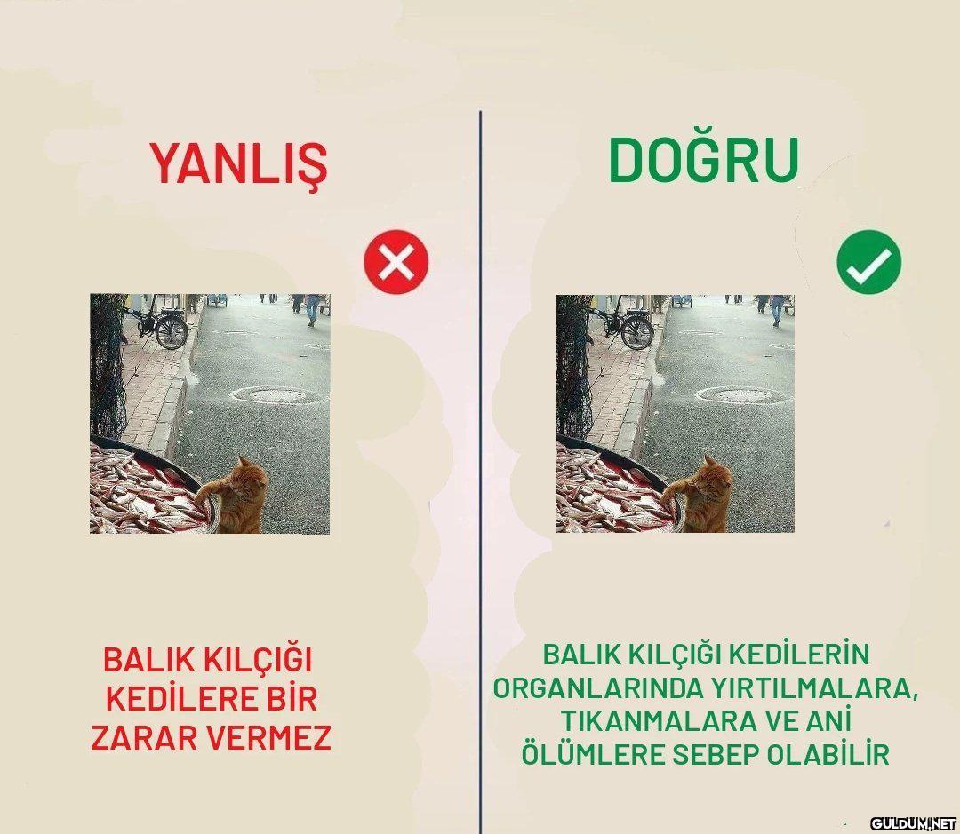 YANLIŞ DOĞRU BALIK KILÇIĞI...
