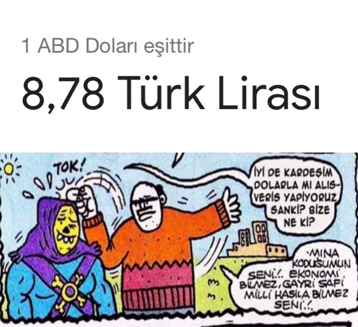 1 ABD Doları eşittir 8,78...