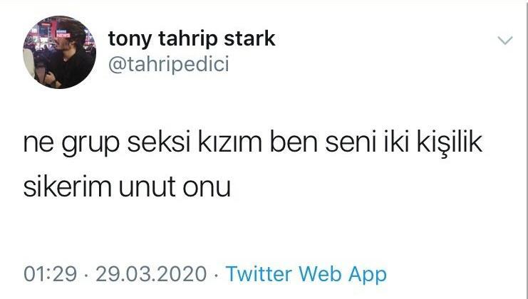 tony tahrip stark...