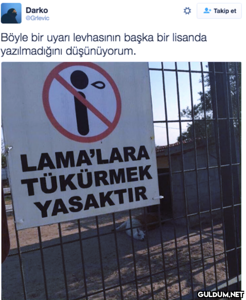 Darko @Grlevic L- Takip et...