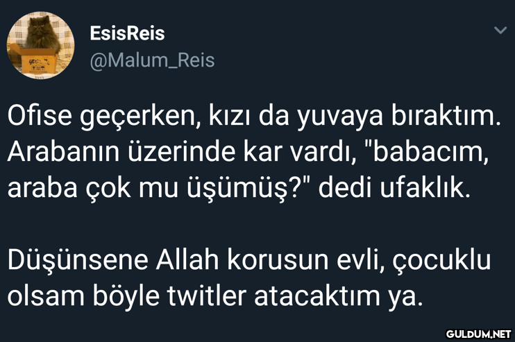 EsisReis @Malum_Reis Ofise...