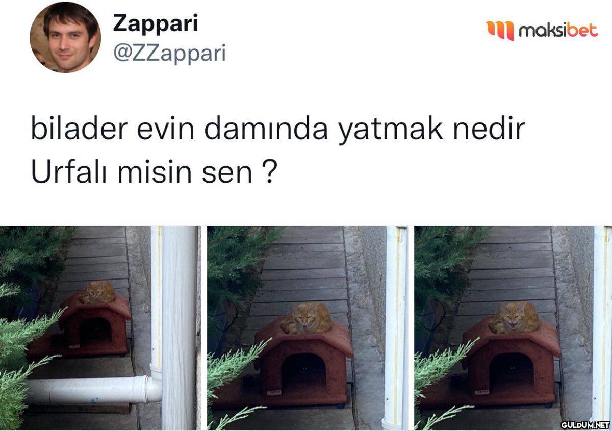 https://t.co/KIUwWgsMyq ...