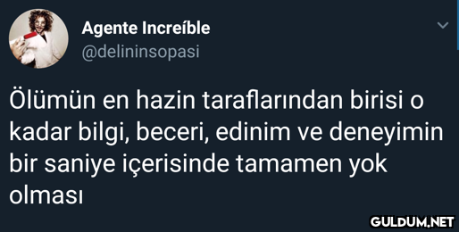 Agente Increíble...