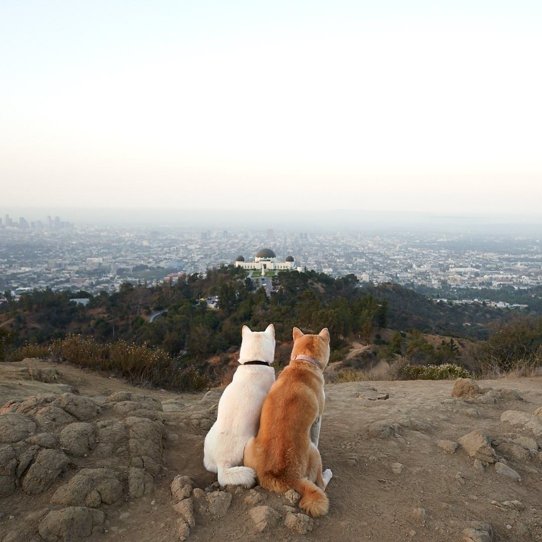 Home is wherever I'm with...