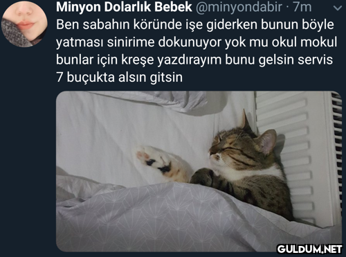 Minyon Dolarlık Bebek...