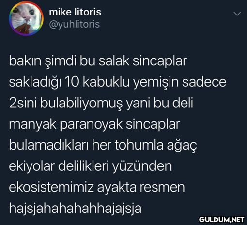 mike litoris @yuhlitoris...