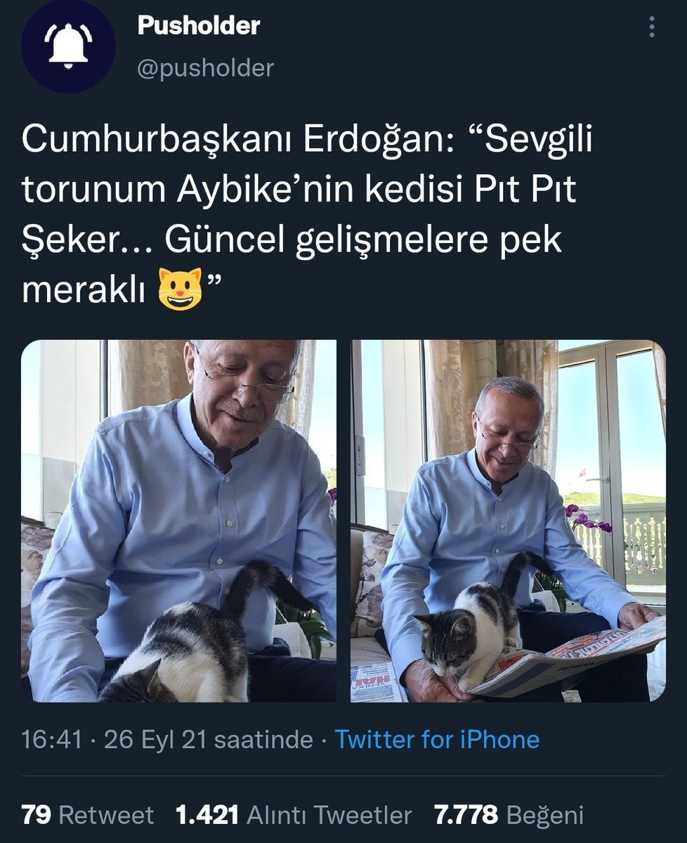 Pusholder @pusholder...