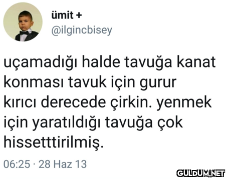 ümit + @ilgincbisey...