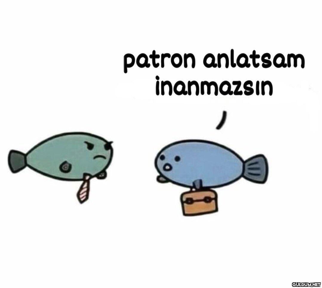 yine geç kaldın umarım...