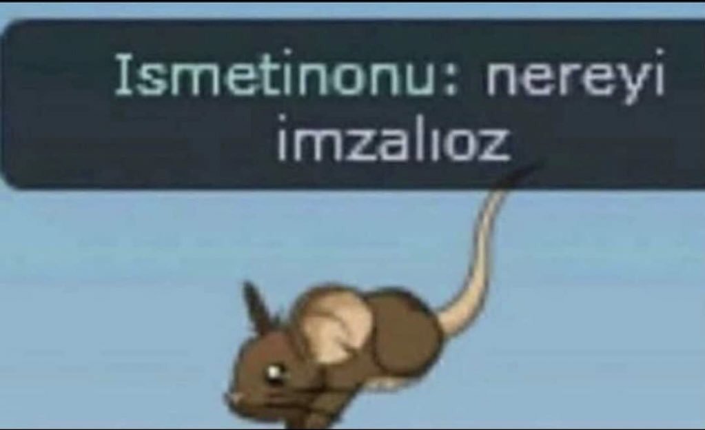 Ismetinonu: nereyi...