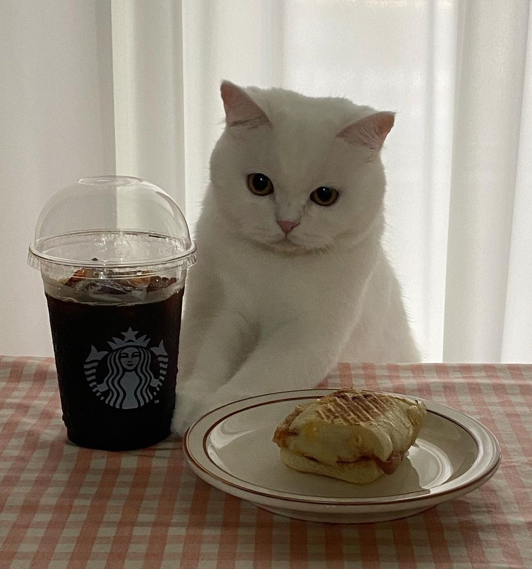 POV: you're having a lunch...