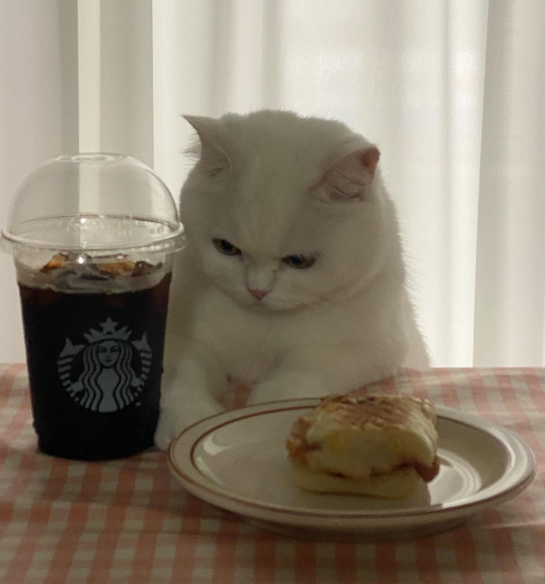 POV: you're having a lunch...