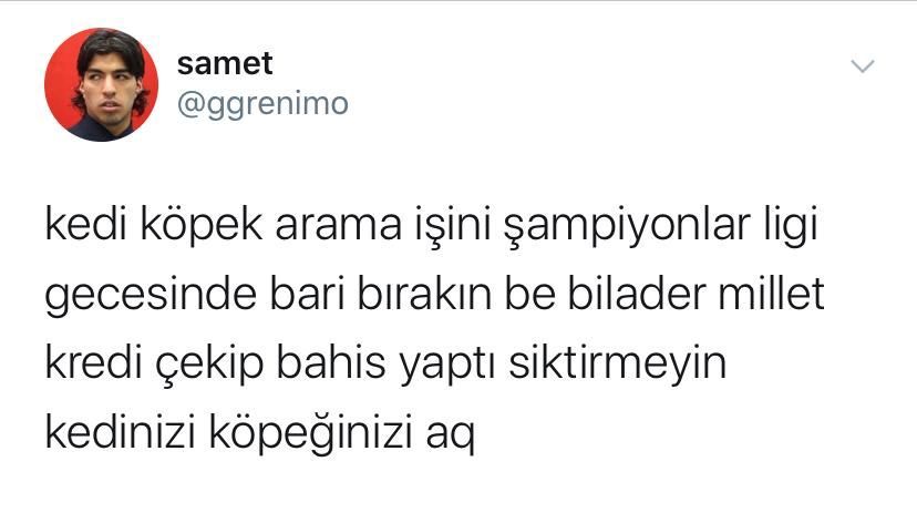 samet @ggrenimo kedi köpek...
