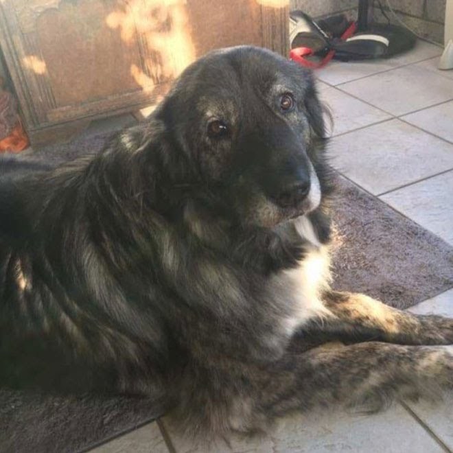 Sevgi iyileştirir ❤️    Kaynak