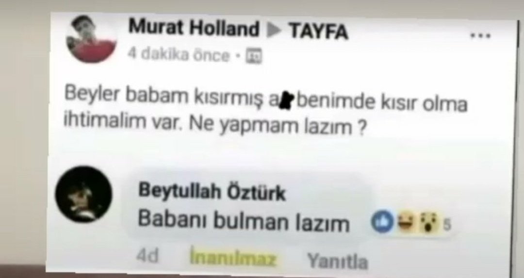 Murat Holland TAYFA 4...