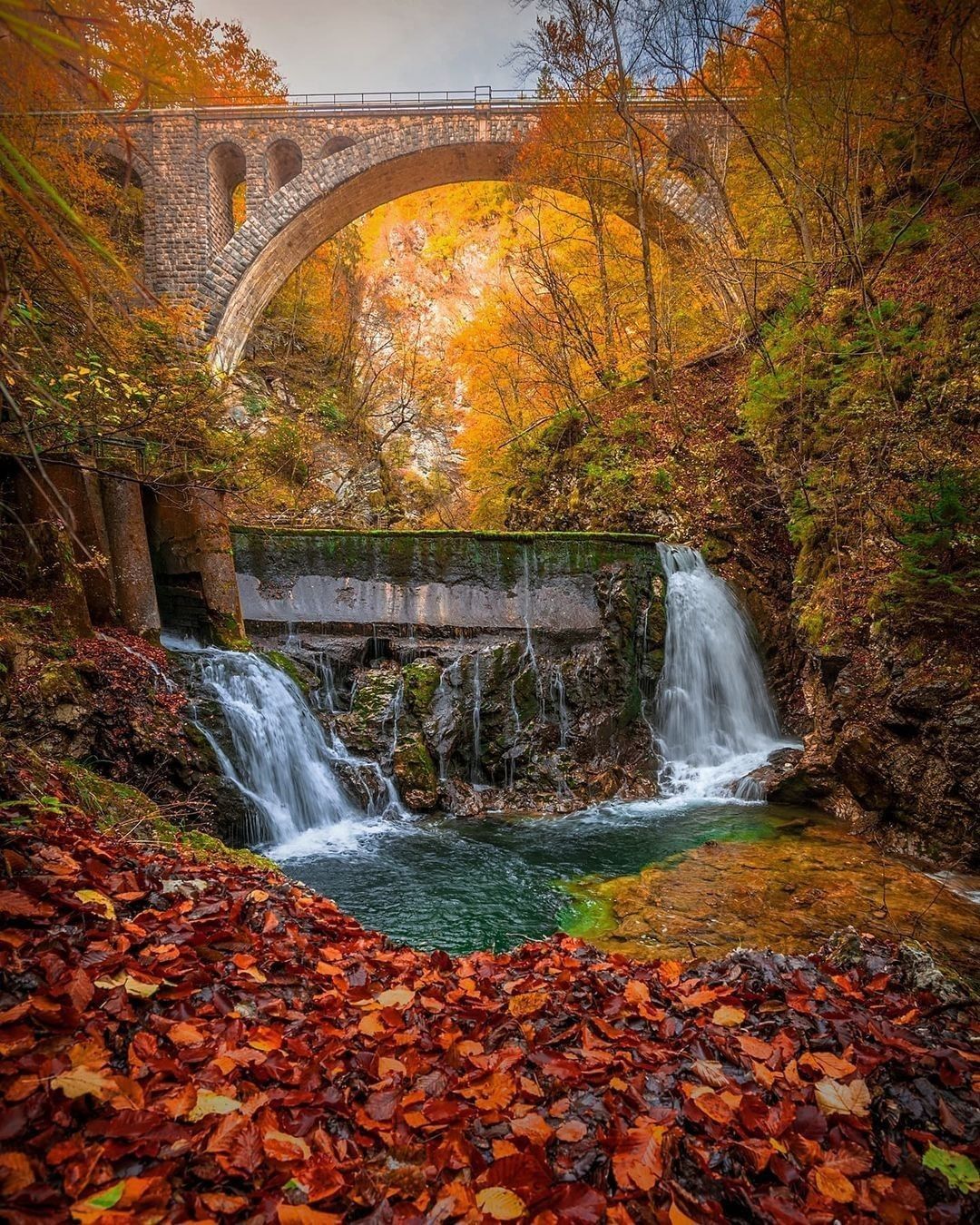 @ someone you'd see fall...
