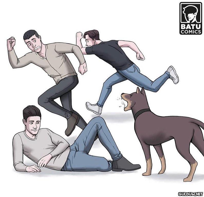 Köpek sahipleri ile kedi...