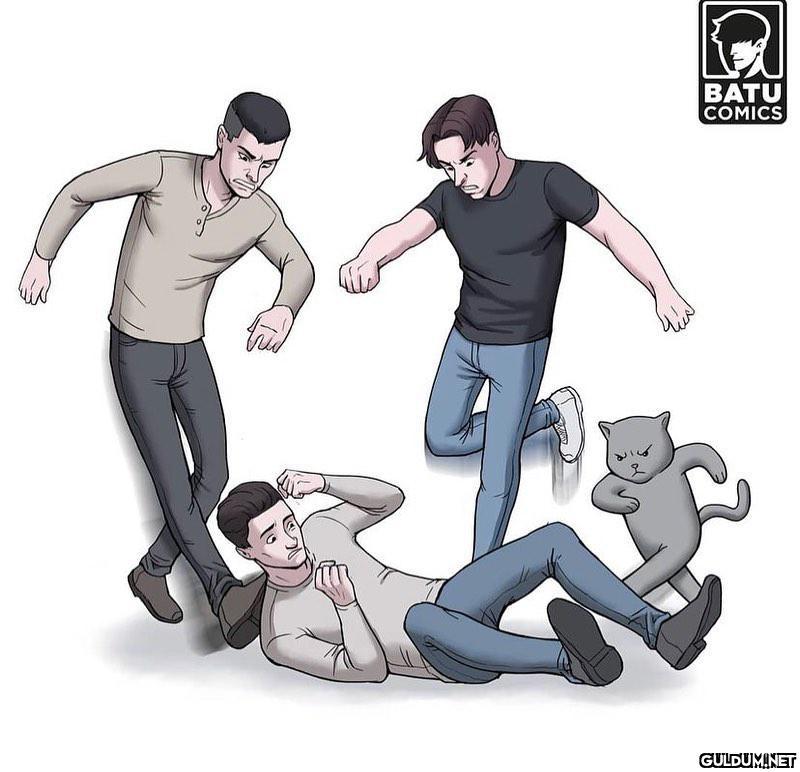 Köpek sahipleri ile kedi...