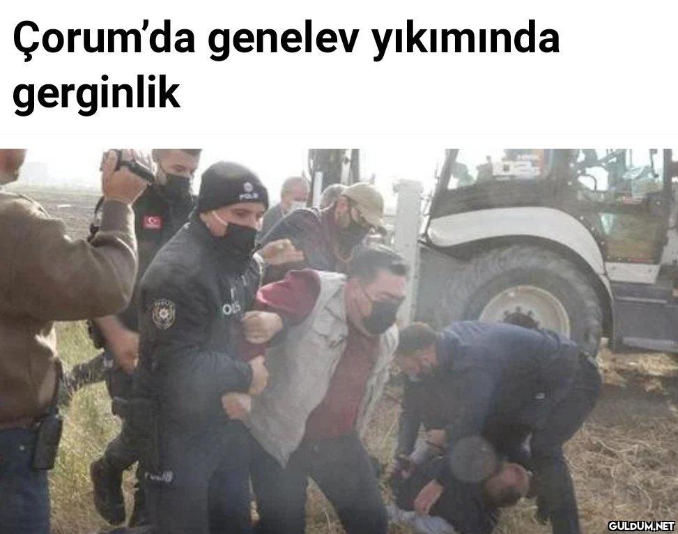 @izelgulec Bunu...