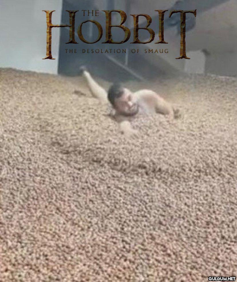 @satrayni    HOBBIT THE...