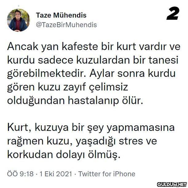 İbn-i Sina'nın kuzu deneyi...