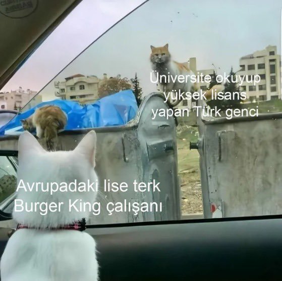 Kaynak