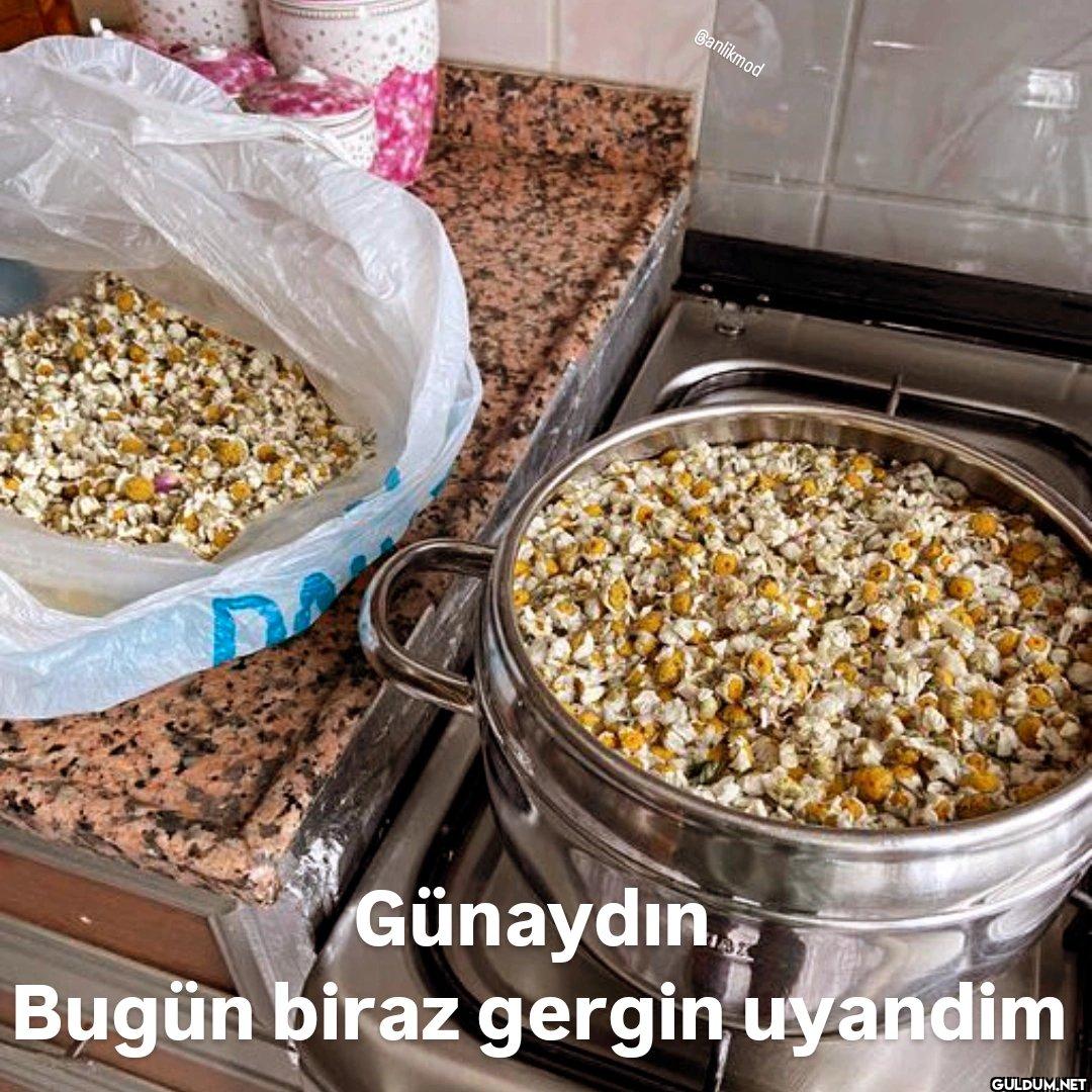 Banlikmod Günaydın Bugün...