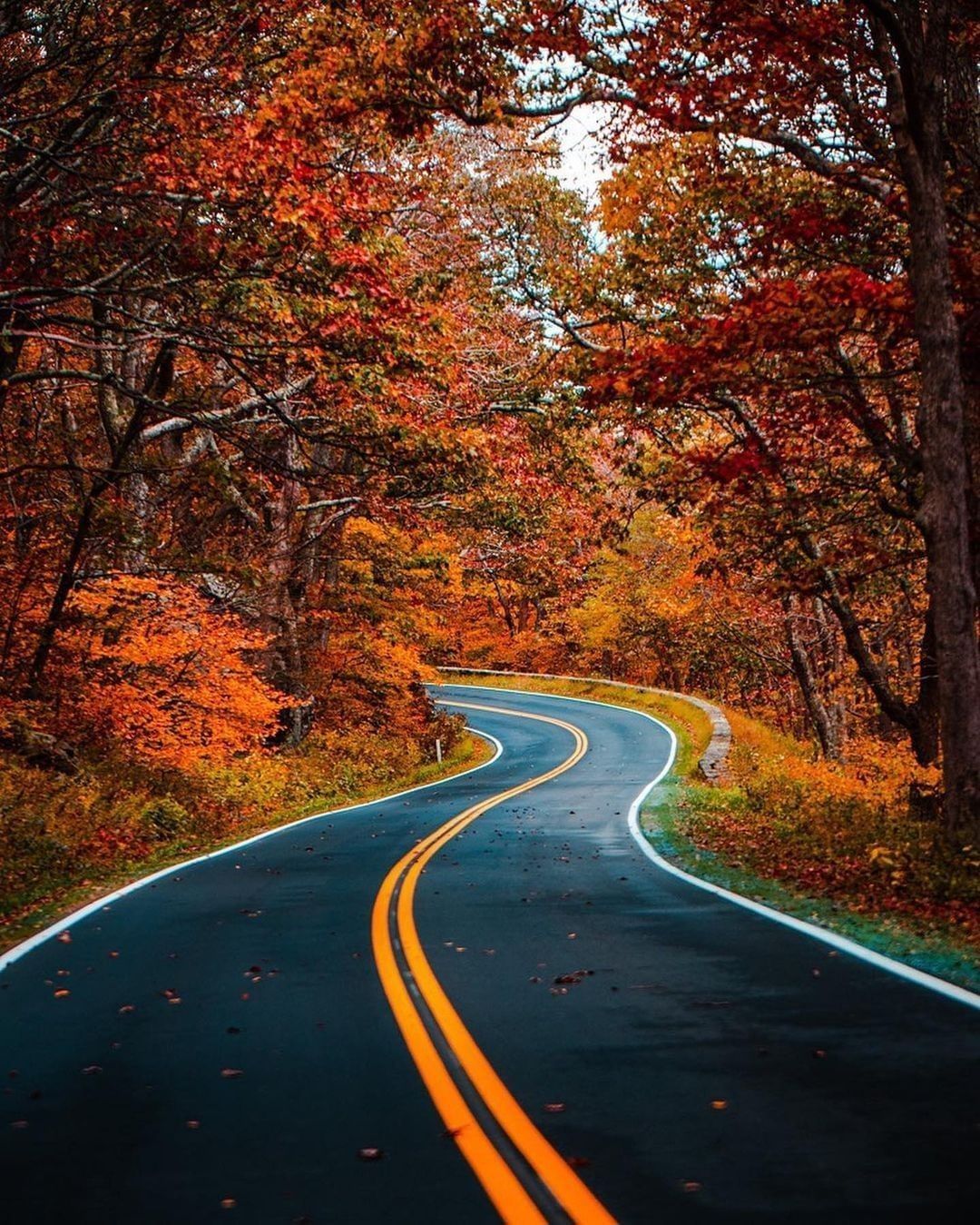 The perfect autumn drive 🍂...