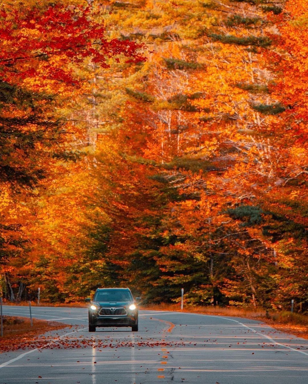 The perfect autumn drive 🍂...