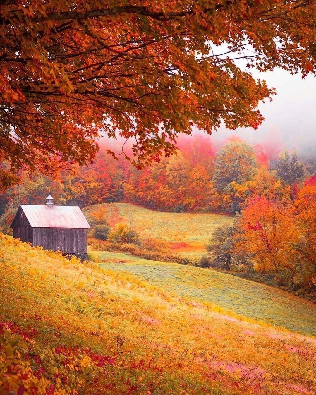 The perfect autumn drive 🍂...