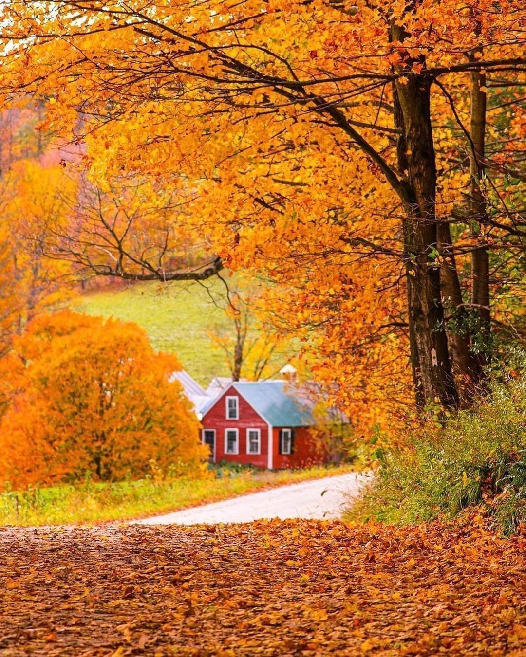 The perfect autumn drive 🍂...