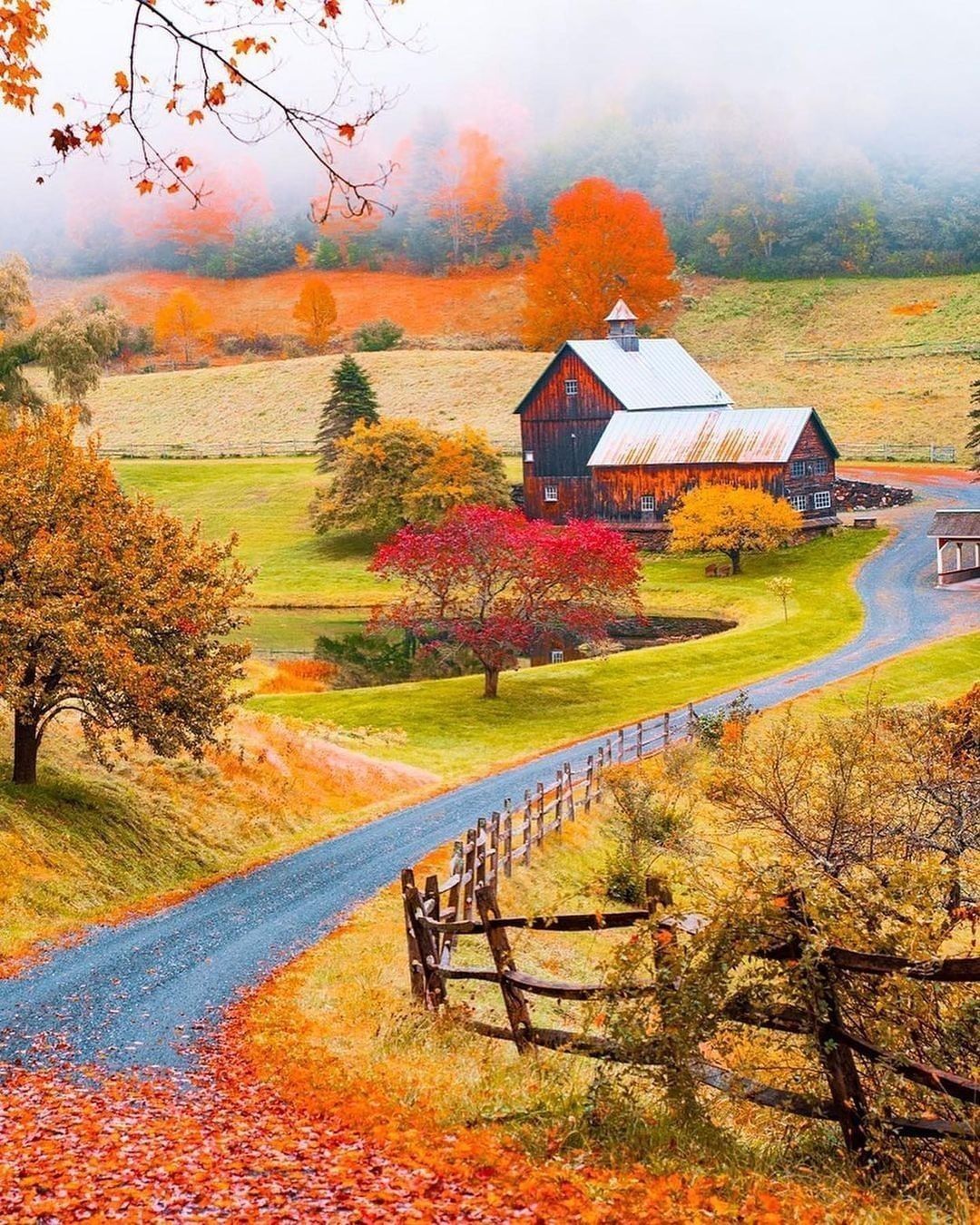 The perfect autumn drive 🍂...