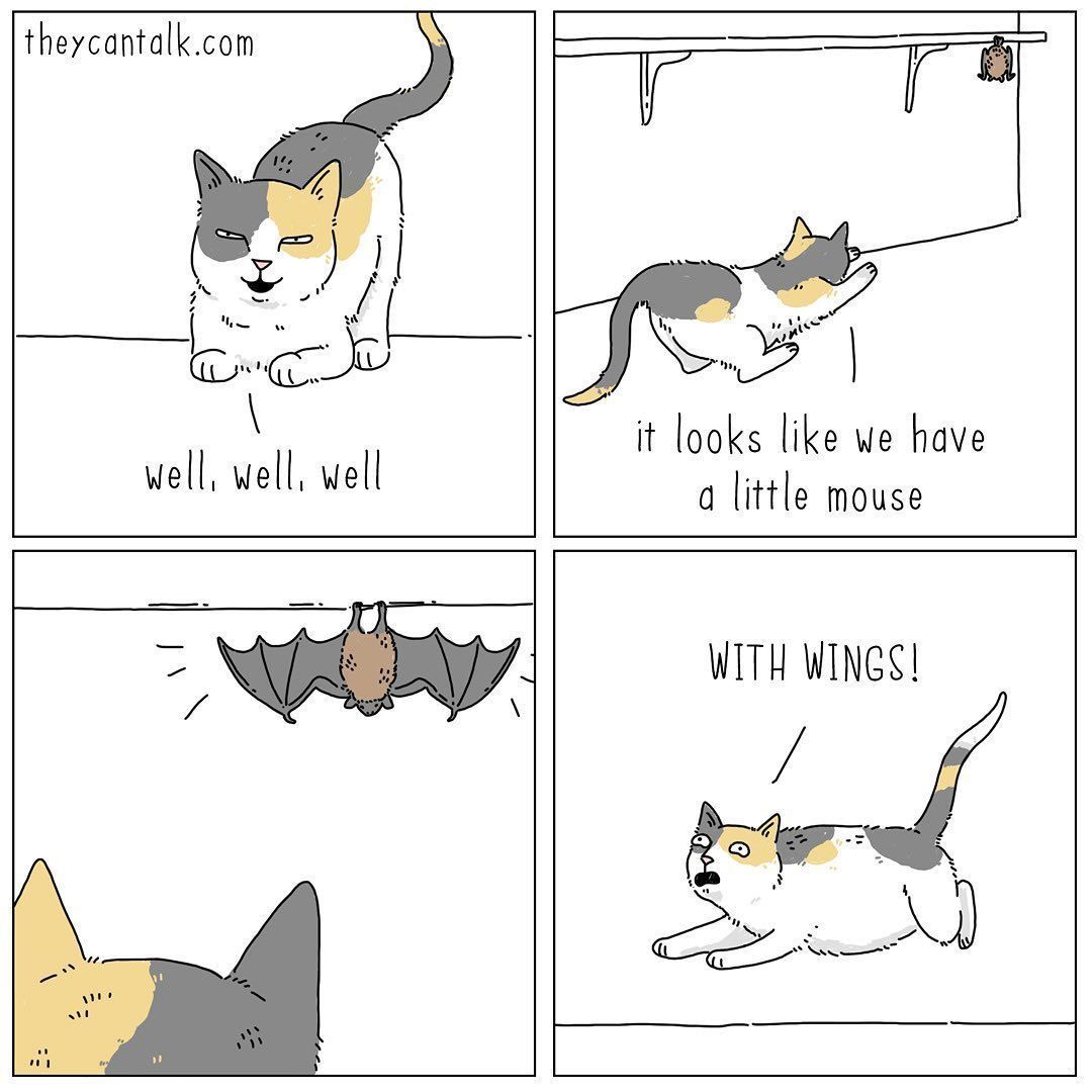 The darn thing’s got...