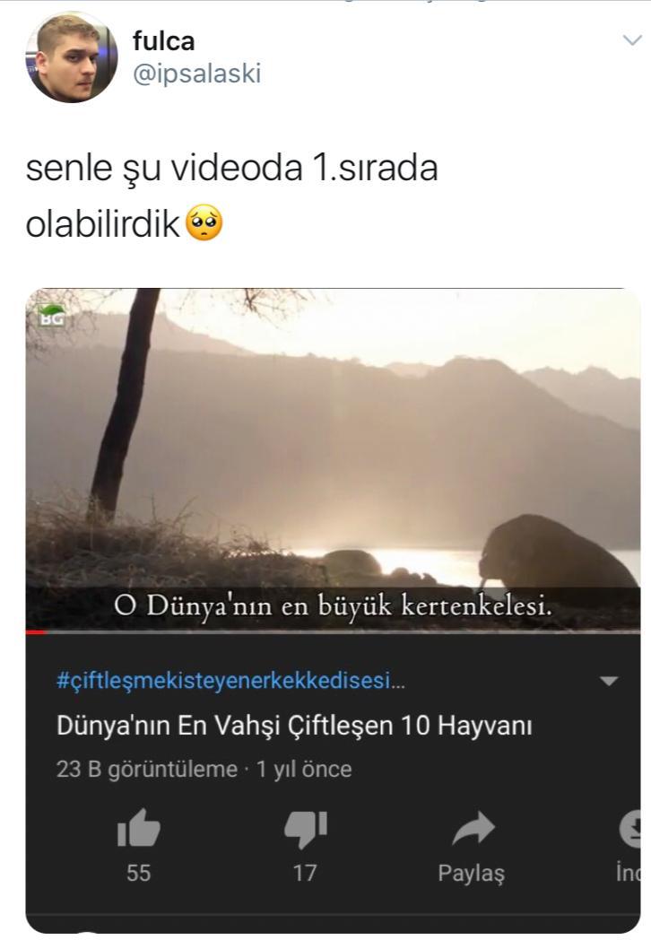 fulca @ipsalaski senle şu...