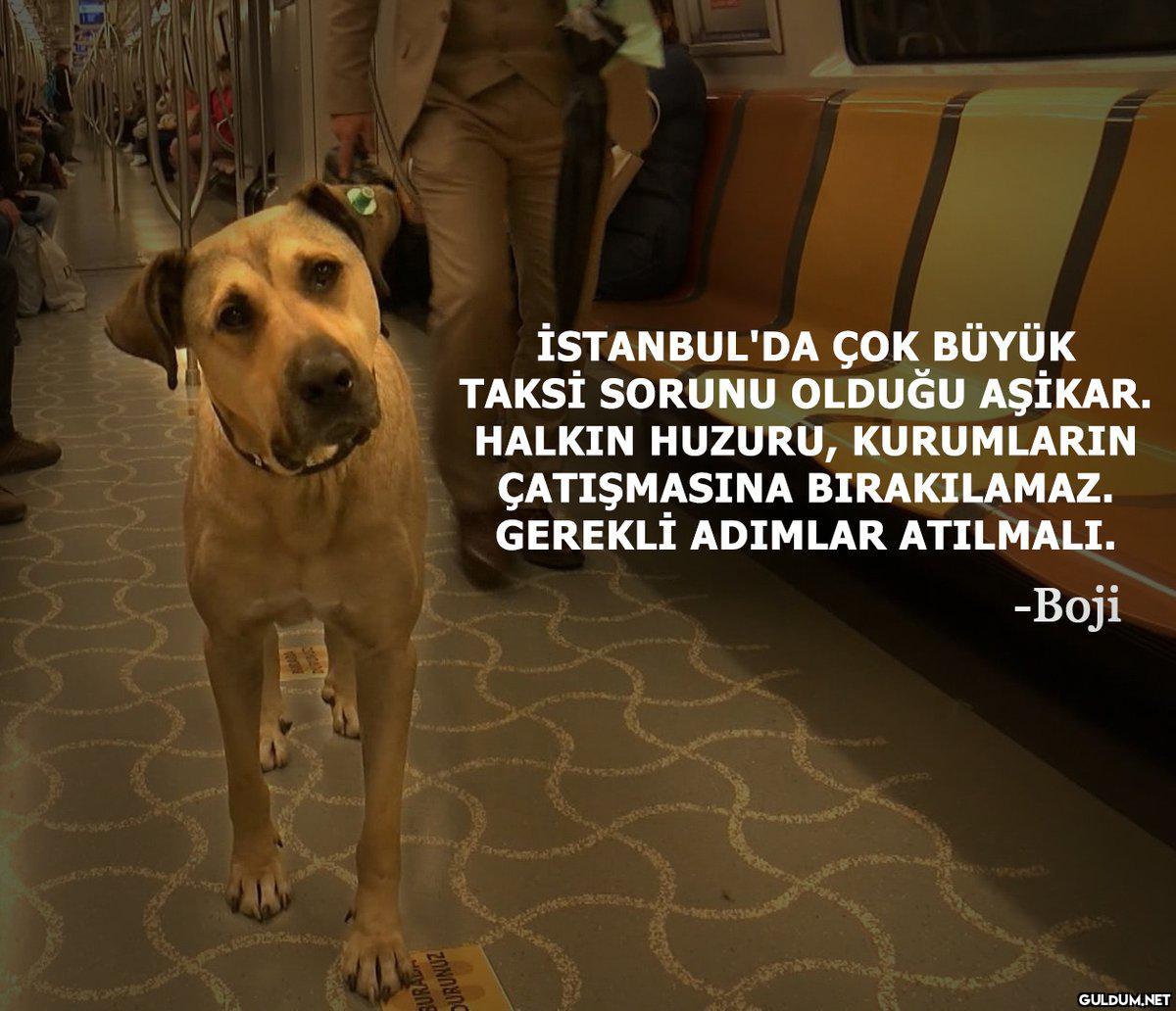 İSTANBUL'DA ÇOK BÜYÜK...