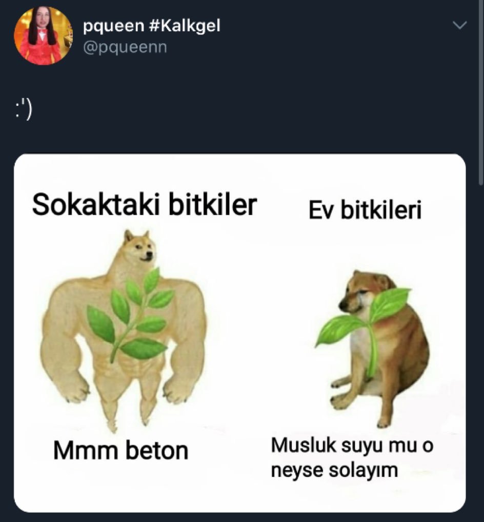 Kaynak