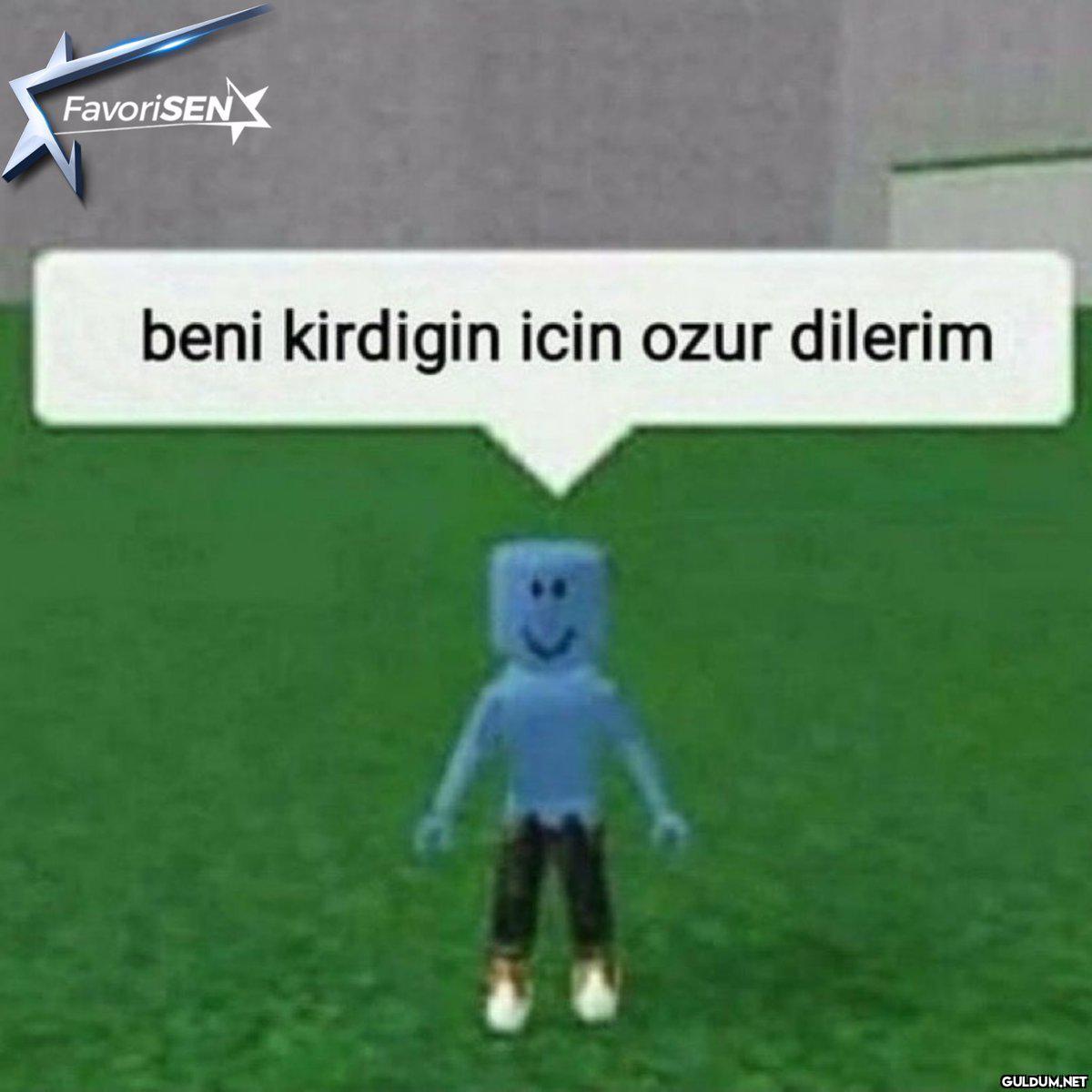 Enayilik seviyem   ...