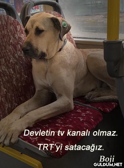 Devletin tv kanalı olmaz....