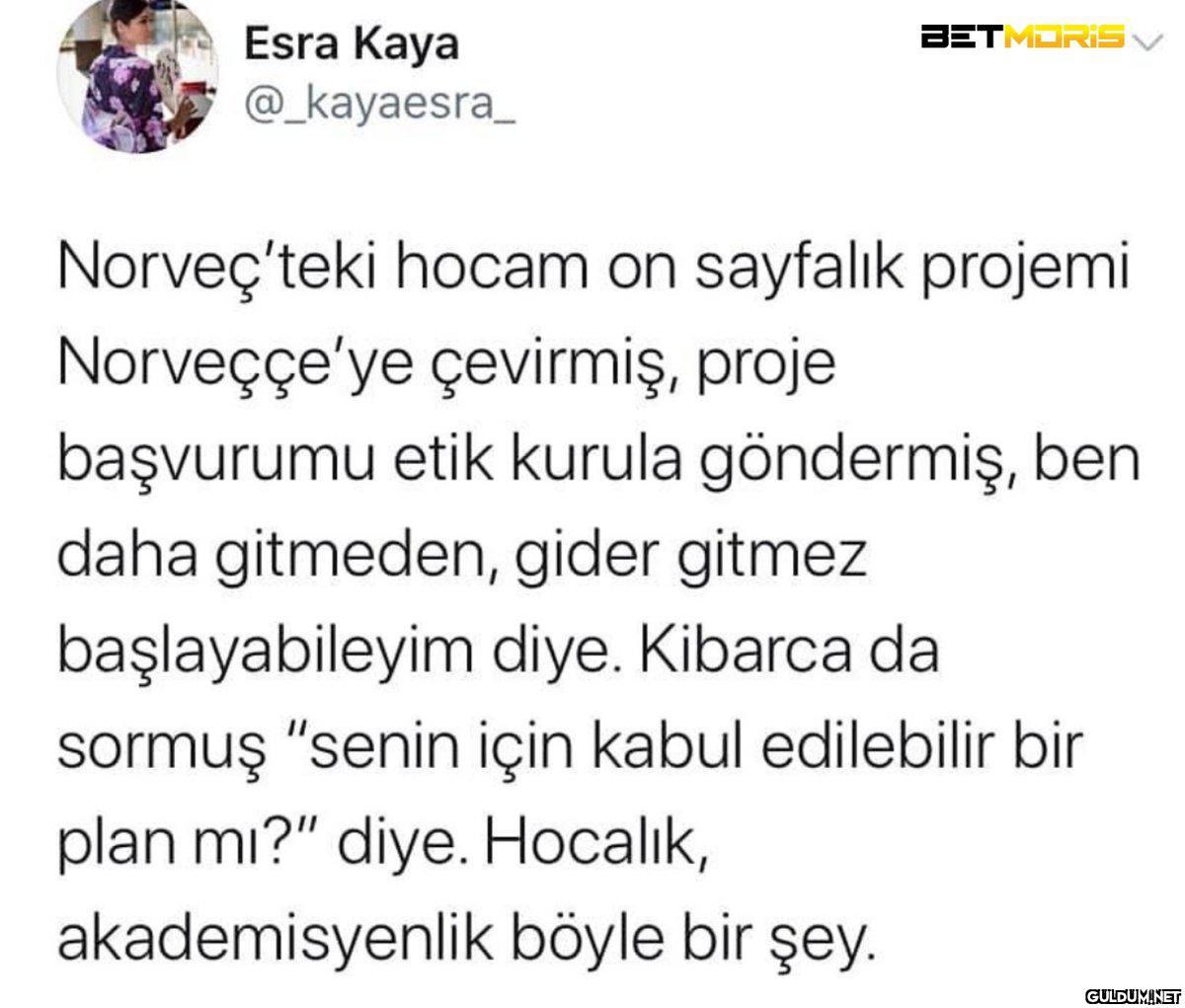 Esra Kaya @_kayaesra_...