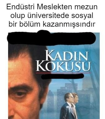 Endüstri Meslekten mezun...