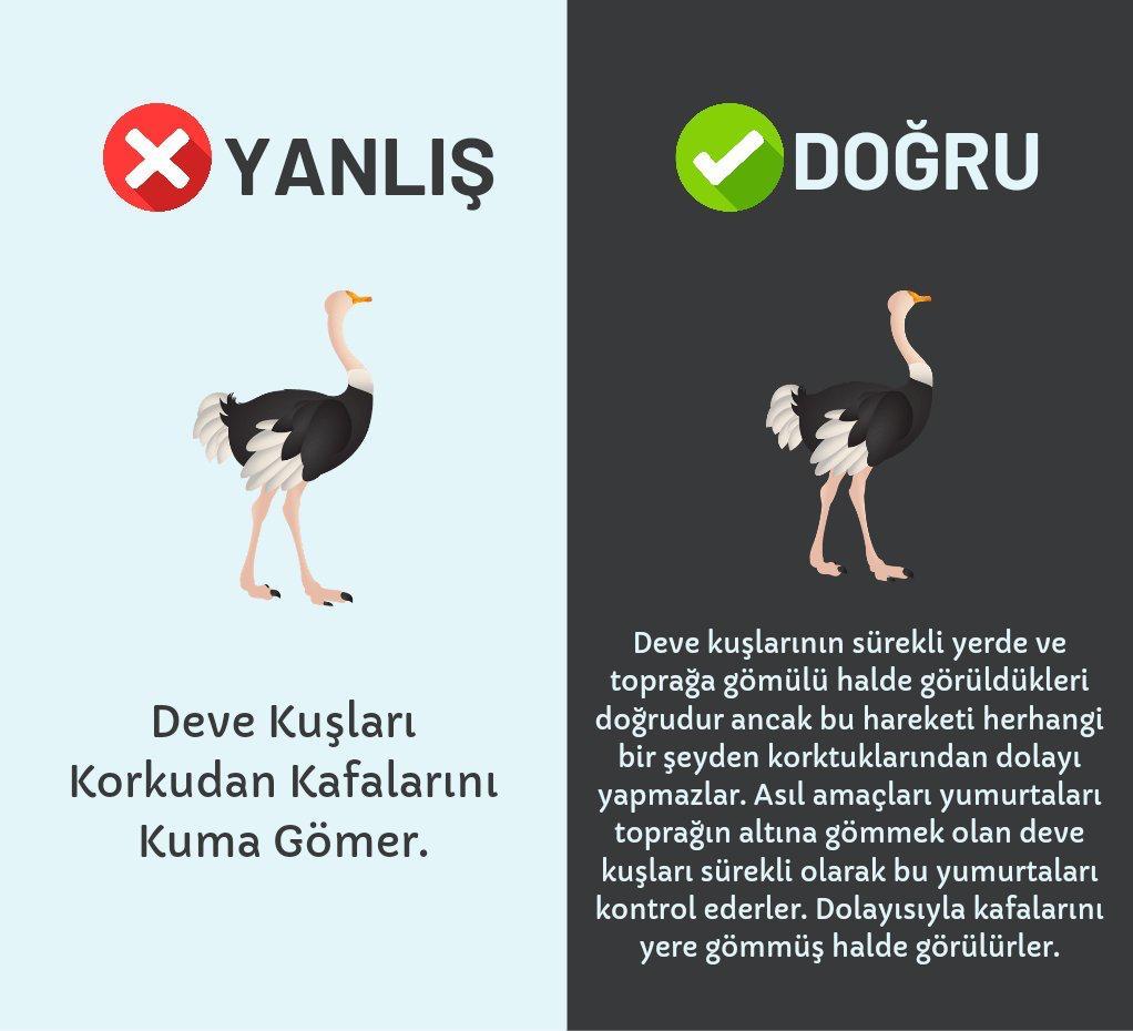 Kaynak