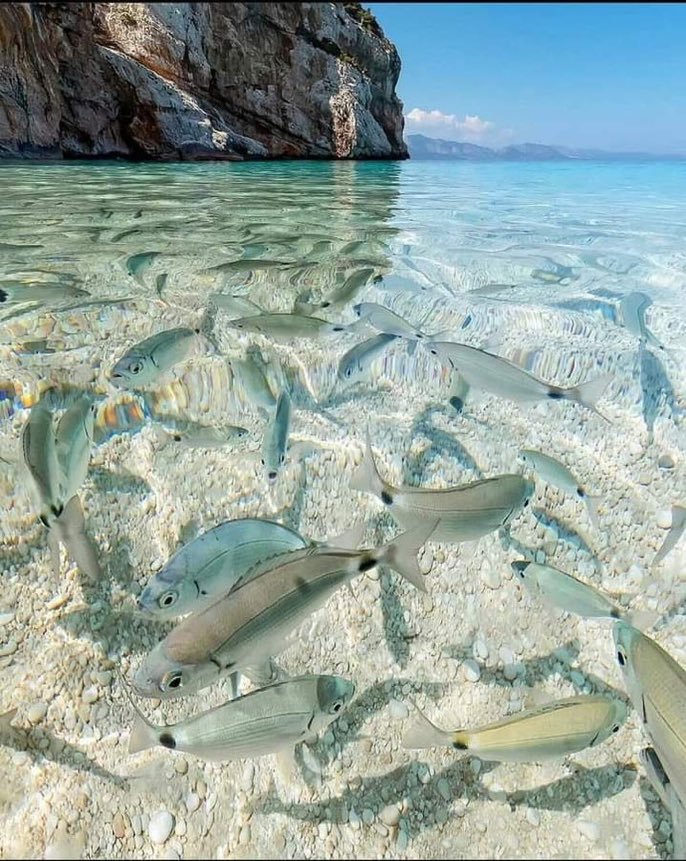 Cala Mariolu'nun berrak...