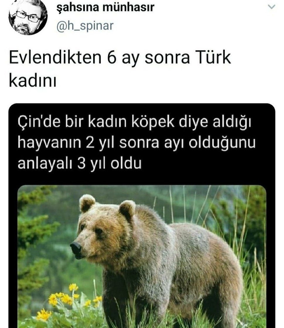 şahsına münhasır @h_spinar...