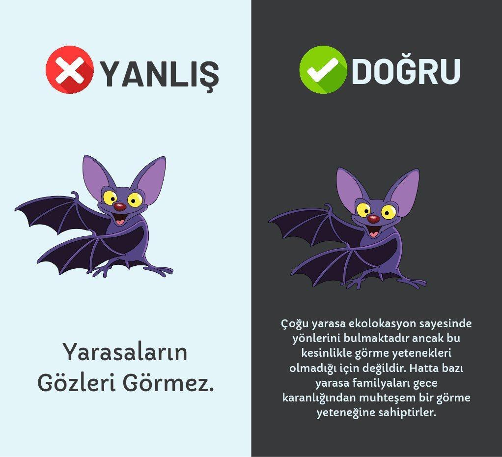 Kaynak