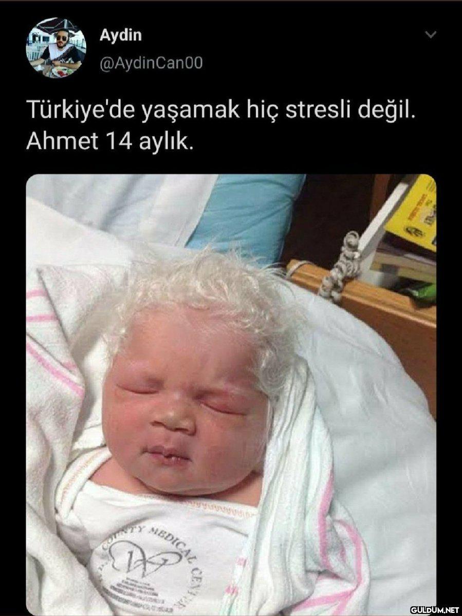 Agsgsgahhah    Aydin...