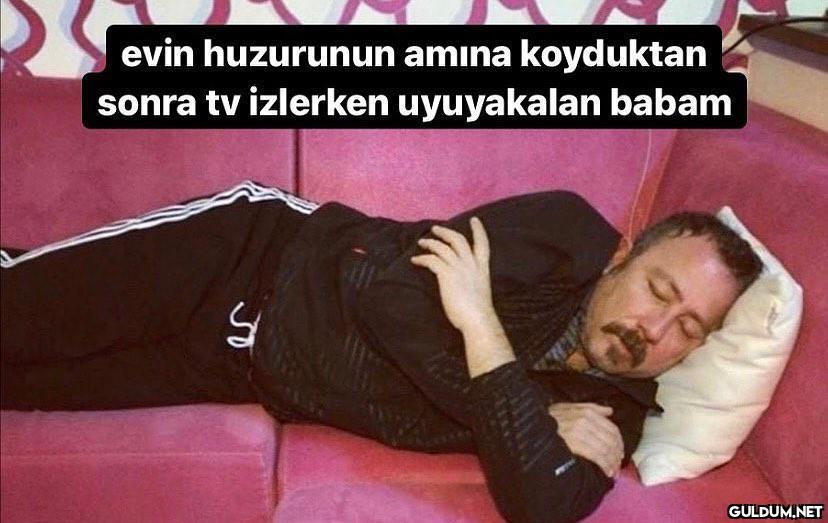 aloimdat/twitter evin...