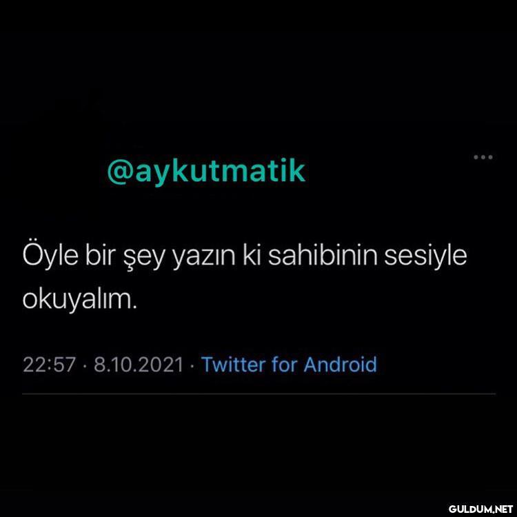 Salak salak konuşma beaaa...