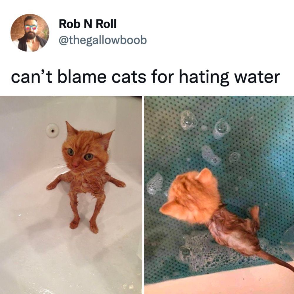 Body: *shrinks*⠀ 📸...