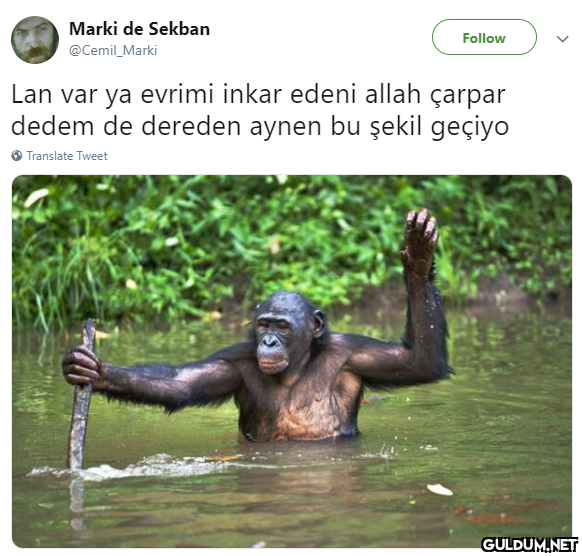 Marki de Sekban Follow...