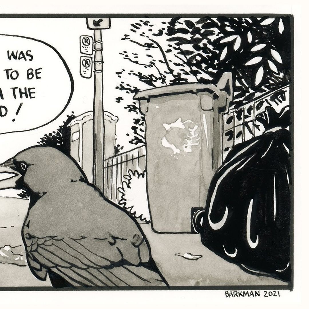 Seeing things in a...